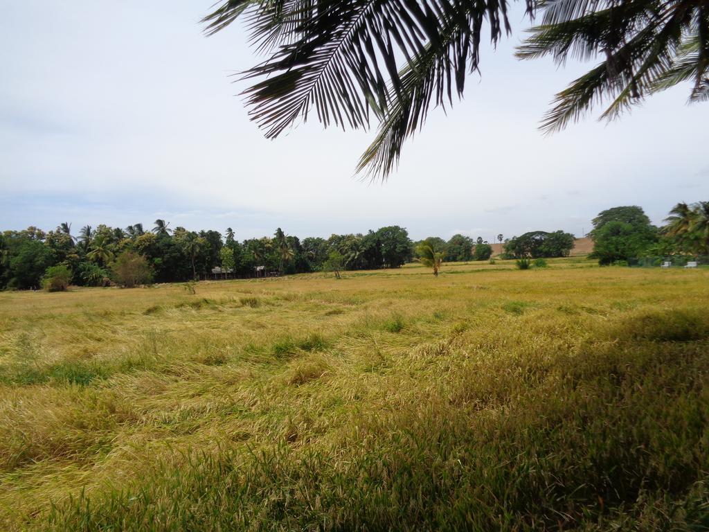 Canal Side Guest House Polonnaruwa Exterior photo